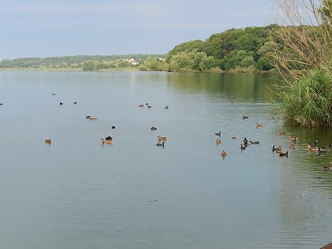 Ружичнянська коса