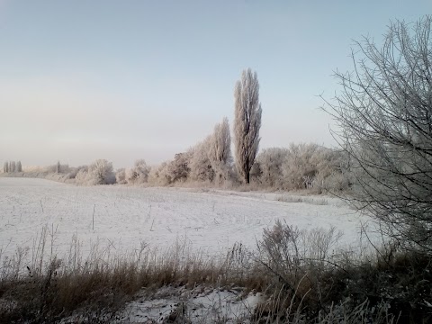 Супермаркет причіпів