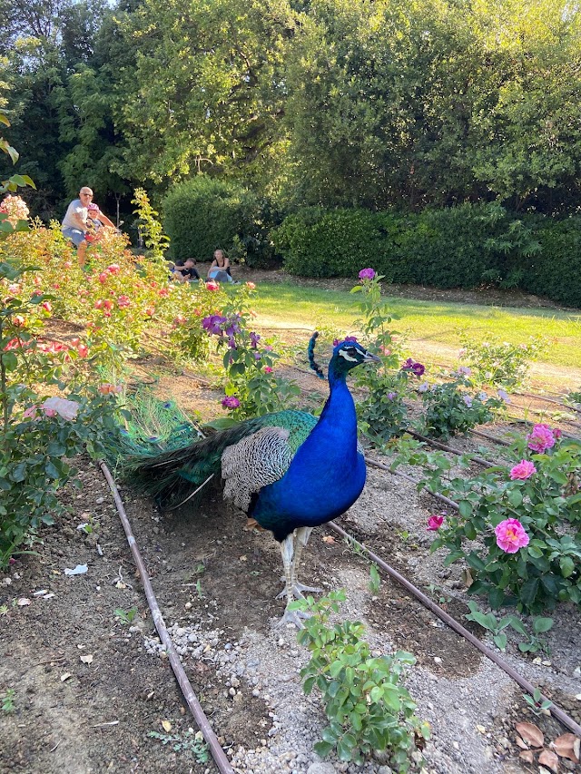 Parc Borély