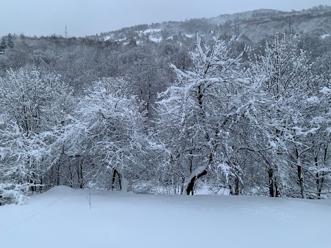 Садиба "Вікторія"