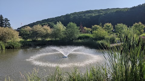 Оздоровчий комплекс Ірис, СК Деренівська Купіль