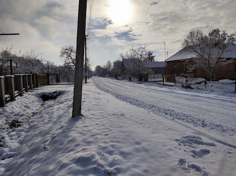 Копиновецька ЗОШ І-ІІ ст.