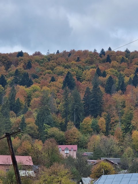 НАТАЛІ, ПРИВАТНА САДИБА