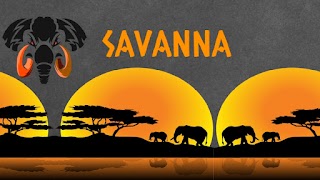 Savanna lounge bar