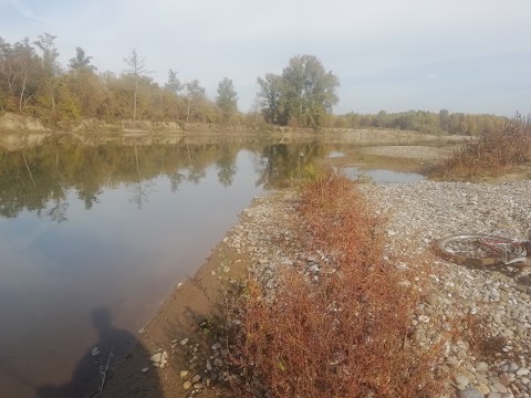 Літня Риболовля Джаффа