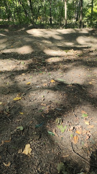 Pump track “TAPOK”, Kyiv