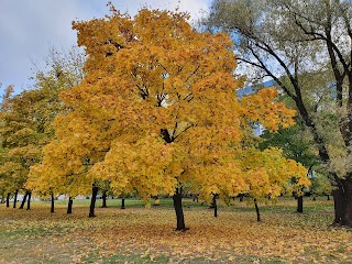 Бережанський парк