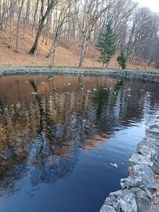 Парк Погулянка, каскад ставків на потічку Пасіка