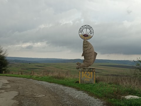 Палац графа Бадені ХІХ ст.