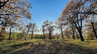 Хутор Чубинского