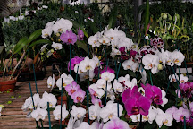 Chadwick & Son Orchids, Powhatan, United States