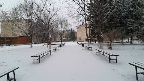 Державний педагогічний університет