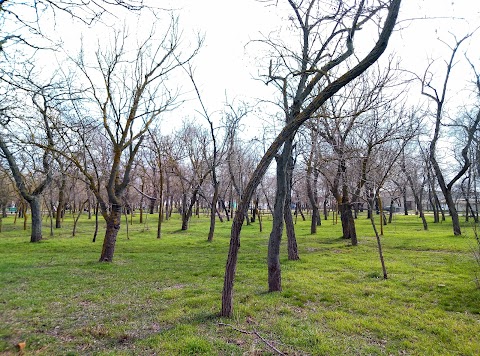 Лузанівський парк, Ландшафтний заказник