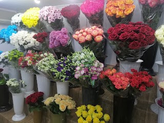 Цветочный магазин "Квіти Milana Flowers"