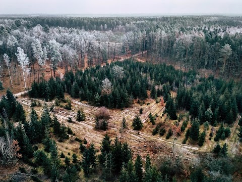 Регіональний ландшафтний парк Мальованка