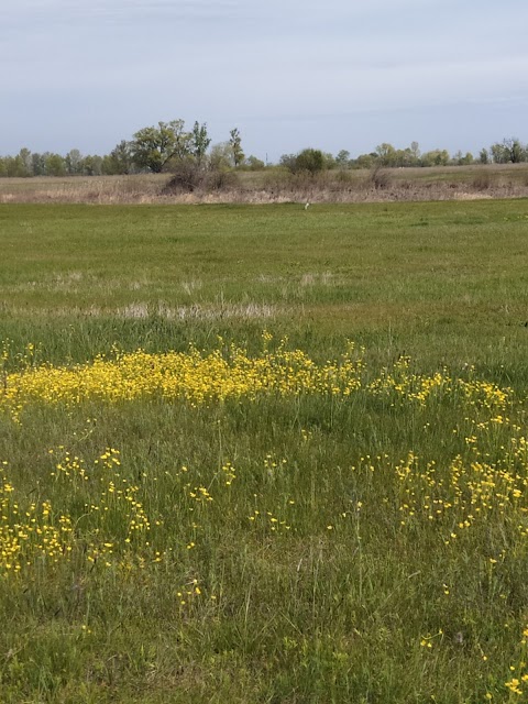 СТ Енергія Проців