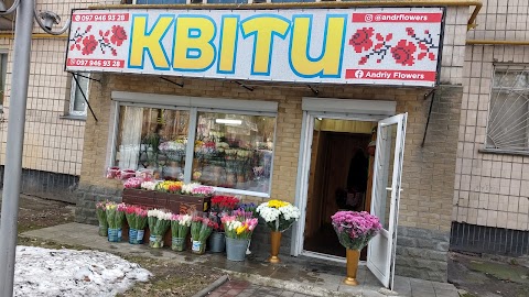 Квіти