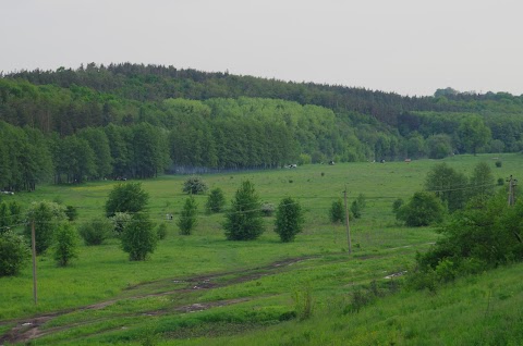 с. Шкуринці