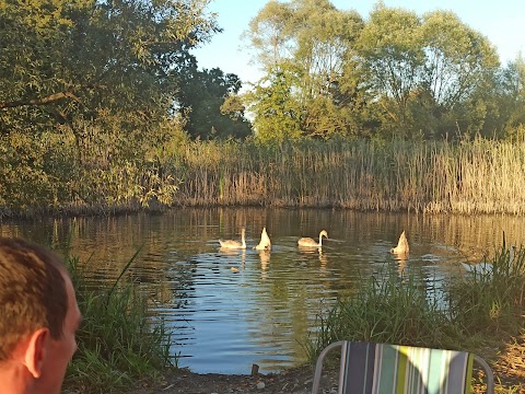 Доброгостівське водосховище