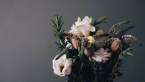 Sakura Flowers