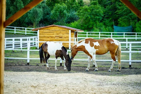 Relax park (Коло неба)