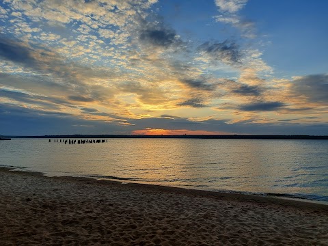 Pine Forest Park