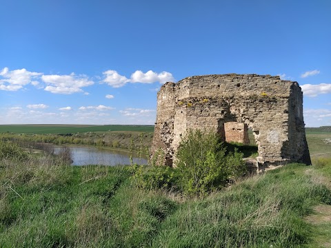 Жванецький Замок