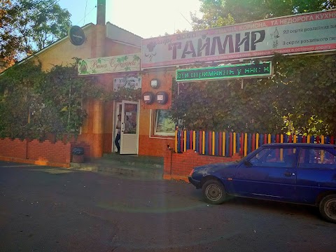 Таймир