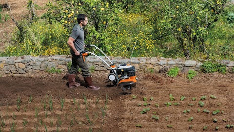 STIHL - магазин Бензоінструмент - офіційний дилер