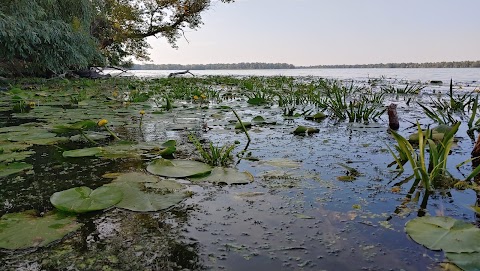 Коса на Красном Камне