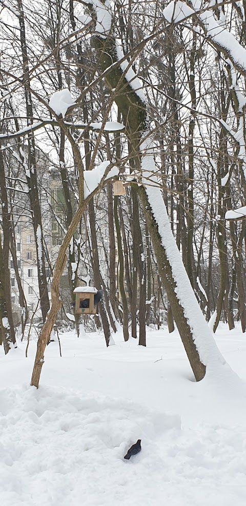 Сихівський парк