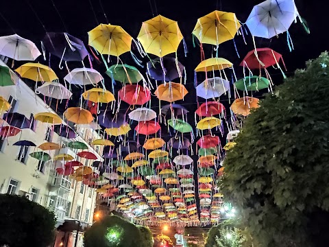 Цветные зонтики. Кольорові парасольки. The colour umbrellas.