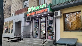 Топольок