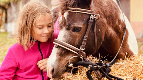 Катание на лошадях в Николаеве! Лошади И Пони @horses_in_niko