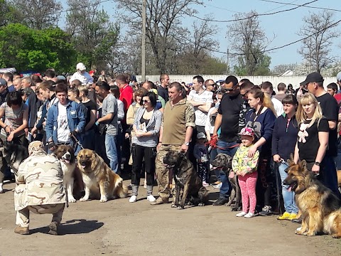 Княжий Двір