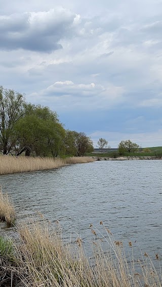 Нова Гремучка