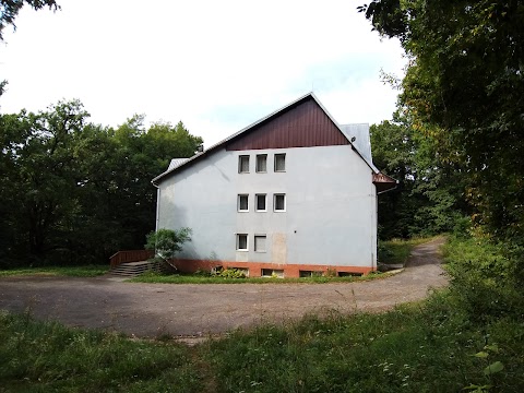 Сільське відділення поштового зв'язку КАРПАТИ