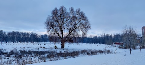 Дендропарк "Greenning Planet"