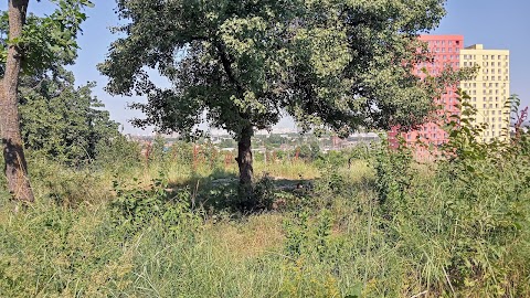 Місце для пікніка з видом на трасу