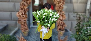 Квіткова Феєрія - доставка квітів