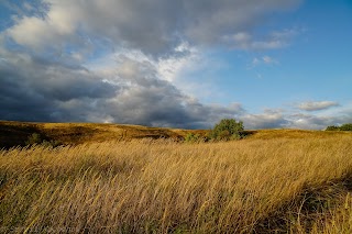 Ландшафтний парк "Васильківські Карпати"