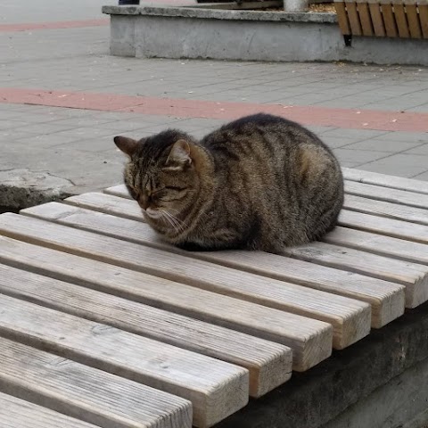 Сквер Гідності