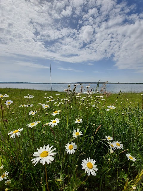 Шкло (Яворівське море)