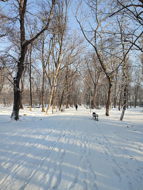 Парк ім. Т. Г. Шевченка