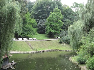 Стрийський парк, лебедине озеро