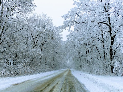 Готель Лілея