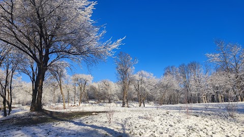 Замарстинівський парк