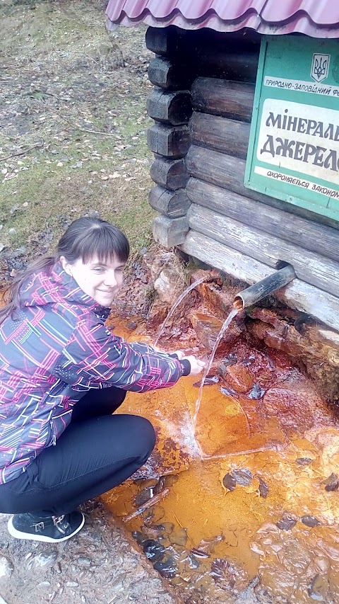 Мінеральне джерело "Келечинський квас"