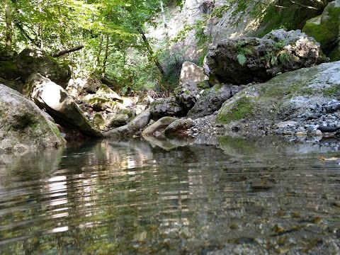 Ландшафтний заказник Урочище Совий яр