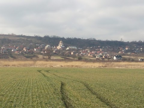 Відниківська середня школа